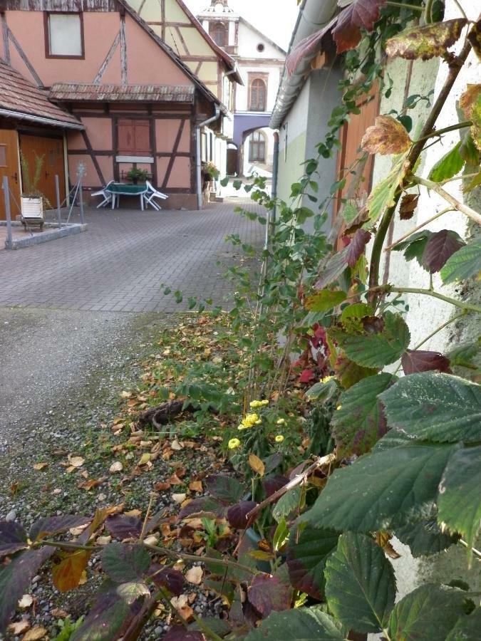 Gites Petermann Marckolsheim Exterior photo